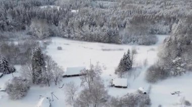Estonya 'da kırsal alanda Estonya bayrağı dalgalanırken bir kale. Kuzey 'in Güzel Taşları ve Tarihi Harabeleri. Zorlu Taş Kale Çimen Tepesi ve Uçurum Kuleleri 'ne tünemiş.