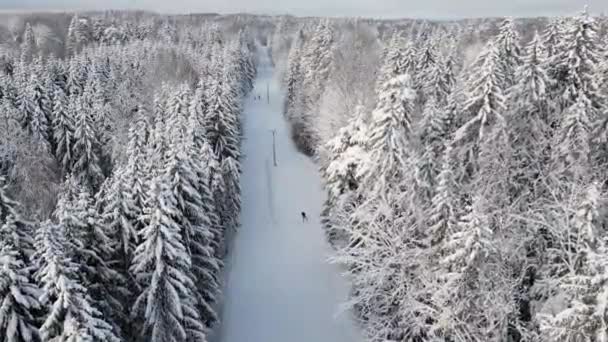 Bellissimo Paesaggio Invernale Gente Sciare Terreno Alberi Ricoperti Uno Spesso — Video Stock