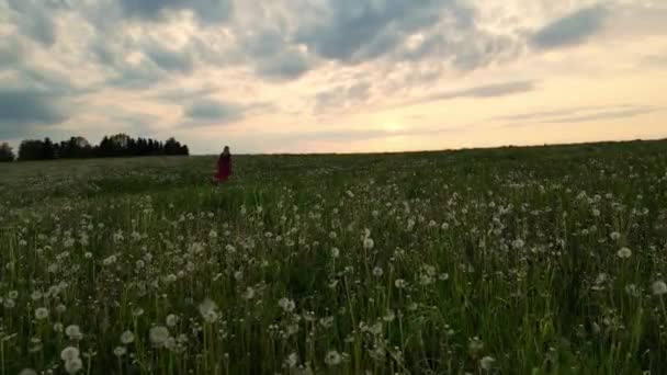 美しい幸せなファンタジーブロンドの女性の女王は スローモーションで風によって流れる長いスカート生地 緑の自然フィールドで散歩を実行します フィールド内の赤いドレスの少女 ポルカのドレス タンポポの畑 — ストック動画
