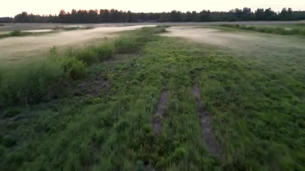 마스트 개념의 아름다움 뒤덮인 초원에서 일출을 맞이하는 안개낀 스러운 서사시 — 비디오