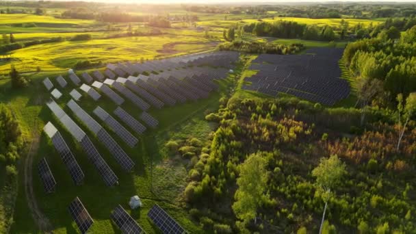 蓝色光伏太阳能电池板在日落时分的绿色能源景观 电力创新的自然环境中 一排排现代光伏太阳能电池板紧邻绿地 空中无人驾驶飞机 — 图库视频影像