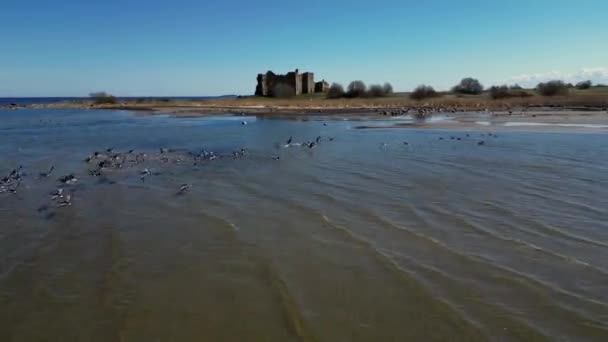 Flying Flock Birds Ocean Migrating Common Crane Abandoned Castle Background — Stock Video