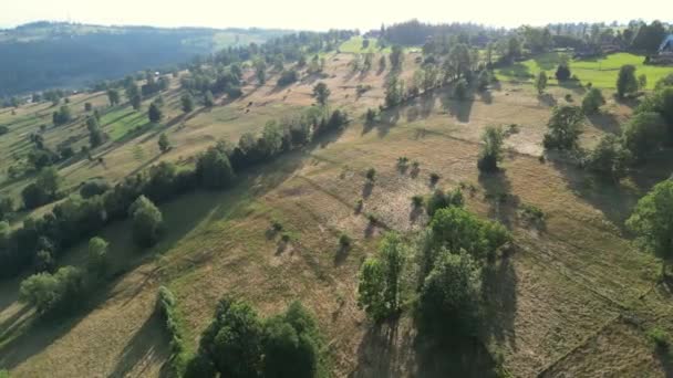 波兰Zakopane一座陡峭的山坡上传来了无人机的倾斜射击声 青翠的群山 日落时用无人机在乡间射击 塔特拉山高山 高质量的4K镜头 — 图库视频影像
