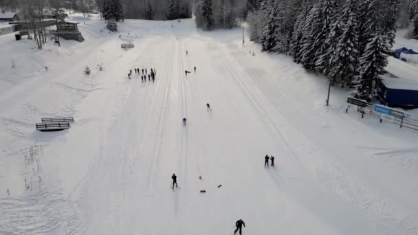 美しい冬の風景や人々はスキー 新鮮なふかふかの雪の厚い層で覆われた地面と木 寒い朝に雪に覆われた森の松の木と空中冬の風景 — ストック動画
