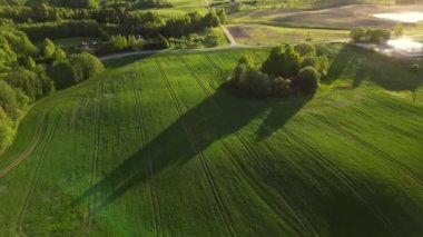 Güneşli bir günde tarıma kuşların bakış açısı ve yeşil dalgalı tarlalar. Bir yaz akşamında güzel bir İskandinav ülkesi Estonya. Tarım endüstrisi. Gün batımında kırsalda orman ve tarım arazileri.