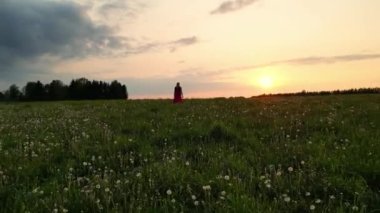 Güzel, mutlu, sarışın kadın kraliçe yeşil doğa tarlasında yürüyor, uzun etek kumaşı rüzgarla yavaş çekimde akıyor. Sahada kırmızı elbiseli bir kız. Puantiyeli elbise. Bir karahindiba tarlası.