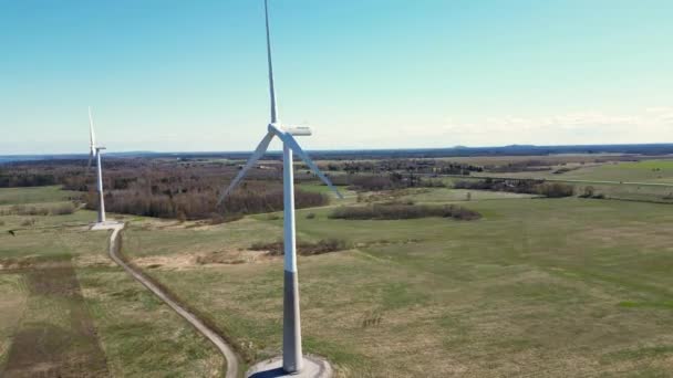 风车公园绿色能源从无人视野 风车风力发电场 大型转子风力发电机 海洋旁边的现代可再生燃料技术 产生可再生能源的风力涡轮机 — 图库视频影像