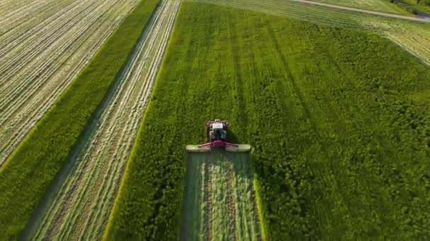 Mähdrescher Arbeitet Auf Einem Weizenfeld Die Weizenernte Mähdrescher Landmaschinen Ernten — Stockvideo