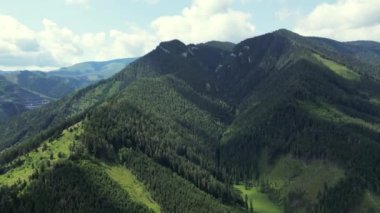 Slovakya 'daki dağlar, tepeler, uçurumlar, kayalar, tepeler, manzaralar, yeşil çimenler, gökyüzü, bulutlar, doğa, işlenmemiş doğa, insansız hava aracı videosu. Bitmek bilmeyen yeşil bir dağ ve orman manzarasının sinematik çekimi.