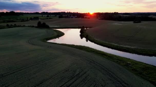 清晨日出无人驾驶飞机俯瞰美丽的湖面 美丽的风景蜿蜒的河流或湖泊 被农田环绕 空降飞行员中枪 湖面上的阳光反射 — 图库视频影像