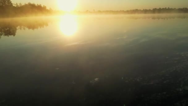 Вид Болота Восходом Солнца Ранним Летним Утром Восходом Солнца Березами — стоковое видео