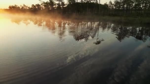 Дикие Перелетные Птицы Взлетают Великом Восходе Солнца Туманом Заднем Плане — стоковое видео