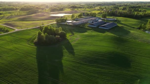Flygfoto Idyllisk Lantgård Röd Lada Silor Grön Majs Amerikanskt Landskap — Stockvideo