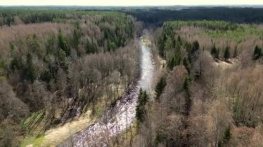 Kano sporu, bir tür kürek sporu, nehirde giden çift kanoyu takip etmek. Hava aracı kuşları, takım tarafından işletilen spor kanolarının görüntülerini izliyorlar. Spor kanosu, sakin sularda kürek çeken bir ekip elemanı.