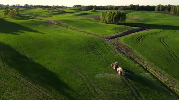 Pesticide Sprayer Tractor Arbetar Ett Stort Grönt Fält Vid Solnedgången — Stockvideo