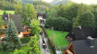 At arabası dağ köyünün yanından geçiyor. Arka planda yeşil tarlalar, ormanlar ve dağlar arasında köy yolu boyunca eski bir at arabası gidiyor. Zakopane atları, Polonya. 