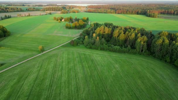 Vogelperspektive Landwirtschaftliche Fläche Und Grüne Wellige Felder Sonnigen Tagen Schöne — Stockvideo
