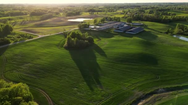 美丽的五彩斑斓的农田 建立农业用地拍摄 谷仓和粮仓 爱沙尼亚自然的雨箱 谷仓和田野 北欧国家 — 图库视频影像