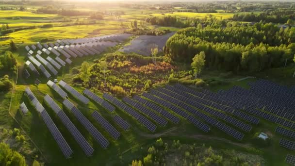 グリーン農業分野の隣にある近代的な太陽光発電パネル クリーンな生態系の電力を生産するための青い太陽光パネルの表面のクローズアップ エストニアに位置する — ストック動画