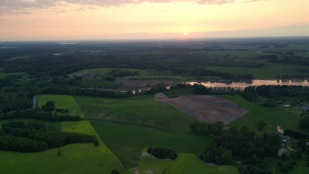 鳥は晴れた日には農地と緑の波の野原を視野に入れます 夏の夜に美しい北欧の国エストニア 農業産業について 日没の田舎のウッドランドと農場 — ストック動画