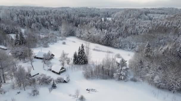 Vista Aérea Bosque Congelado Con Árboles Cubiertos Nieve Invierno Estonia — Vídeos de Stock
