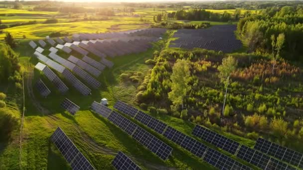 Ecologie Panneaux Centrales Solaires Dans Les Champs Énergie Verte Coucher — Video