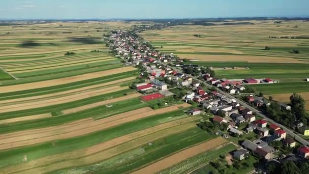 波兰美丽的村庄 有房子和田地 不同绿地装饰装饰品的空中景观 苏洛索瓦 美丽的村庄 有房子和田地 田野里的村庄 — 图库视频影像