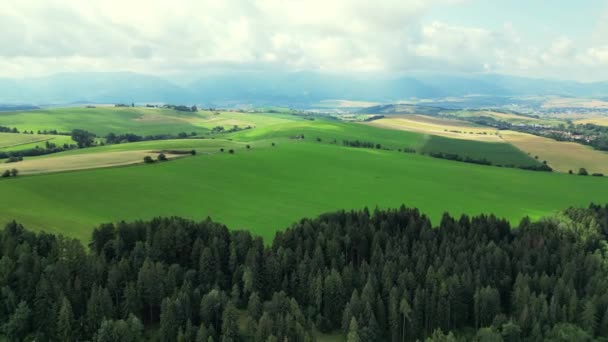 Berge Der Slowakei Gipfel Klippen Felsen Bergrücken Landschaft Grünes Gras — Stockvideo