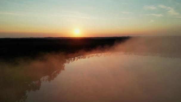 Вид Болота Восходом Солнца Ранним Летним Утром Восходом Солнца Березами — стоковое видео