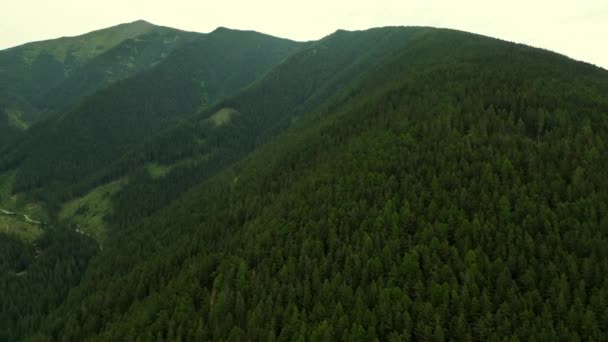 Evening View Mountains Slovakia Peaks Cliffs Rocks Ridges Landscape Green — Stock Video