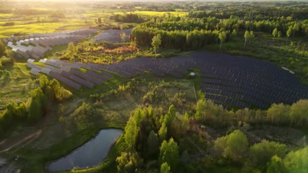 Ekologi Solkraftverk Paneler Fälten Grön Energi Hundratals Solpaneler Rader Ren — Stockvideo