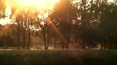 Retro VHS görüntüleri, klasik VHS-C Betacam 'dan tarama. Şehirde yaz, koşan insanlar, gün batımı renkleri geliyor. Retro kamera 8 mm. Eski film. Anılar. Retro VHS Teyp Efekti Ev Videosu Kavramı.