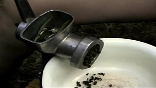 ハンドヘルドVhsヴィンテージフィルム お茶を作る Vhs 8Mm アナログ フィルム 手が触れ 乾燥したハーブをこすります 1980年代 ホームビデオ — ストック動画
