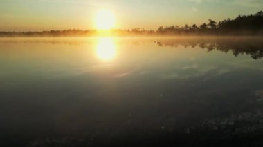 Göldeki sis, sislerin üzerinde uçan drone görüntüleri gölet bataklık gölünü doldurdu. Güneş ışınları geliyor, altın güneş ışığı su yüzeyinde hareket eden turuncu bir sis oluşturuyor. Yeşil orman ve sis. Yaz sabahı.