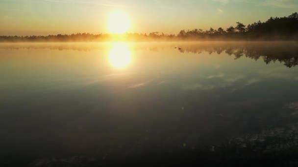 Nebbia Sul Lago Riprese Aeree Drone Volare Sopra Nebbia Riempito — Video Stock