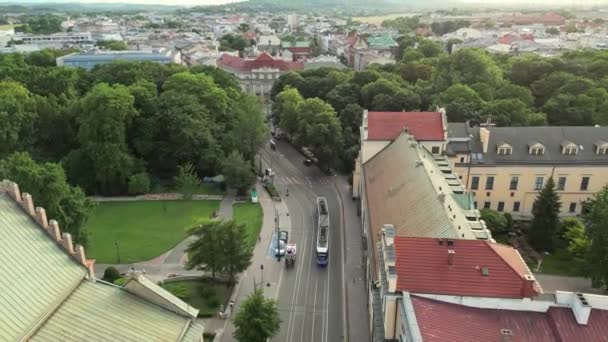 Krakau Polen Wawel Koninklijk Kasteel Kathedraal Vistula Rivier Park Mensen — Stockvideo