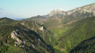Yazın güzel dağ manzarası, orman ve kayalar. Zakopane, Polonya. Tatras dağının hava görüntüleri Polonya Zakopane insansız hava aracı görüntüleri. Yeşil orman ve mavi turuncu günbatımı gökyüzü ile dağ sıraları