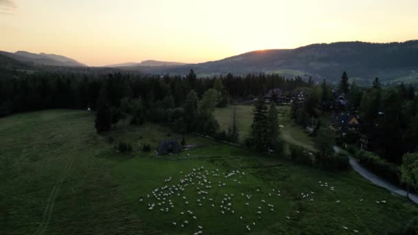 Aerial Szwajcarski Krajobraz Wiejski Rannym Wschodzie Słońca Alpejskiej Wsi Szwajcarska — Wideo stockowe