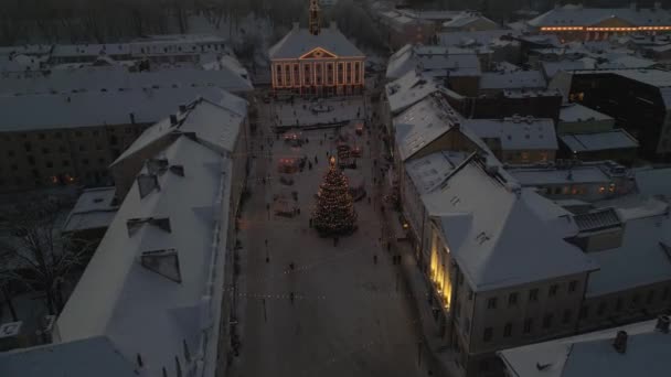 Tartu Keşfedin Estonya Pazarı Mulled Wine Noel Biraları Sunuyor Atlıkarıncayı — Stok video