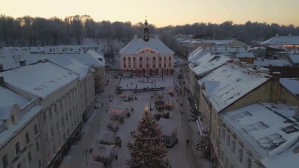 Tartu Estland Weihnachtsmarktstimmung Dezember Straßendekorationen Ein Lebhafter Markt Und Fröhliche — Stockvideo