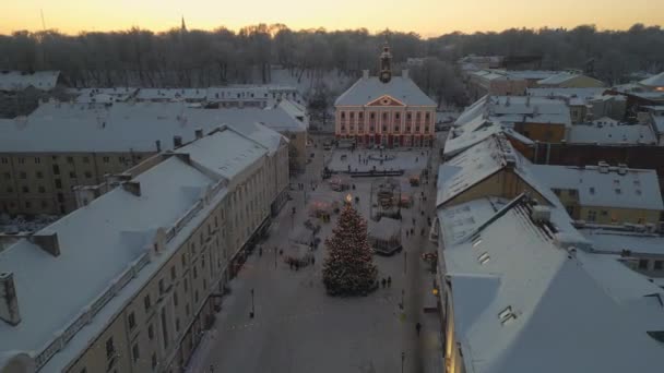 Тарту Естонія Різдвяний Ринок Площі Ратуші Святковими Кіосками — стокове відео