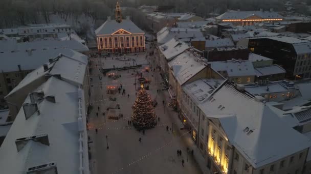 Tartu Advent Fair Craft Dekorasyon Tezgahları Belediye Binası Yakınlarında Bir — Stok video