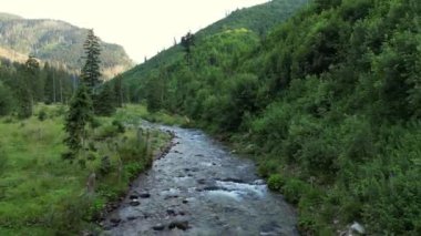 Doğa nehri şelalesi orman güneşi büyülü bir sabah. Güneşin dağlardan akan nehirde parıldadığı güzel bir sabah görüntüsü. Polonya, Slovakya 'daki High Tatra Ulusal Parkı. Yürüyüş ve seyahat