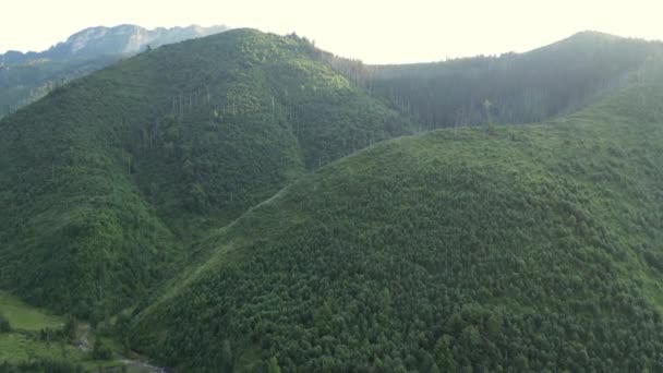Вечерний Вид Горы Словакии Вершины Скалы Скалы Хребты Пейзаж Зеленую — стоковое видео