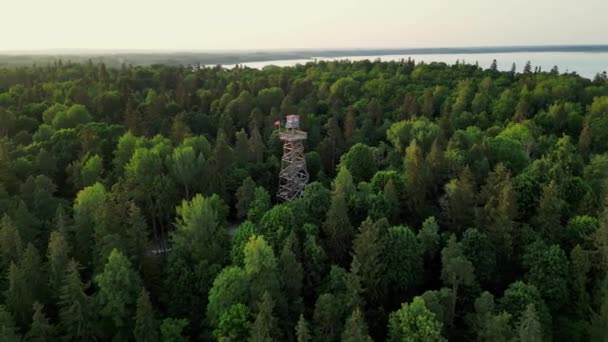 라트비아의 상세한 라트비아 유럽이요 Aluksne Temple Mount Park의 타워를 바라보는 — 비디오