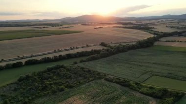 Altın yaz akşamları, kırsal alanda altın buğday tarlalarında ışıldar. Slovenya Slovakya 'da gün doğumunda tarım arazilerindeki olgun arpa bitkileri. 