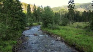 Slovakya Slovenya 'da kristal berrak bir nehri geçen hava görüntüleri. Slovenya 'nın Soca Vadisi' nde, Natural Landmark 'ta yaz mevsiminde bir dağ nehrinde kayalar ve kayalık yarıklar. Nehirde taşlı bankalarla İHA. 