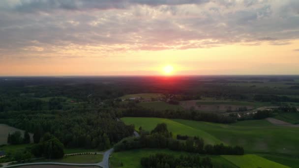 Flyger Över Gult Vetefält Vid Sommarkvällssolnedgången Vete Jordbruk Skörd Jordbruk — Stockvideo
