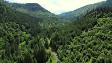 Slovenya dağlarındaki yeşil ormanın havadan görünüşü yazın ılık güneş ışığı altında yeşilliklerle kaplı. Dağlardaki yoğun yeşil ormanın ortasında boş bir yol. Slovakya, Avrupa. .