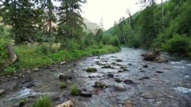 Slovakya Slovenya 'da kristal berrak bir nehri geçen hava görüntüleri. Slovenya 'nın Soca Vadisi' nde, Natural Landmark 'ta yaz mevsiminde bir dağ nehrinde kayalar ve kayalık yarıklar. Nehirde taşlı bankalarla İHA. 